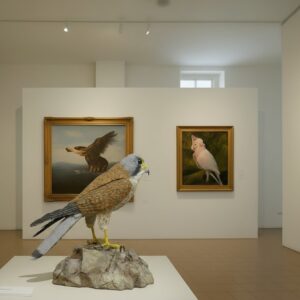 Falcon